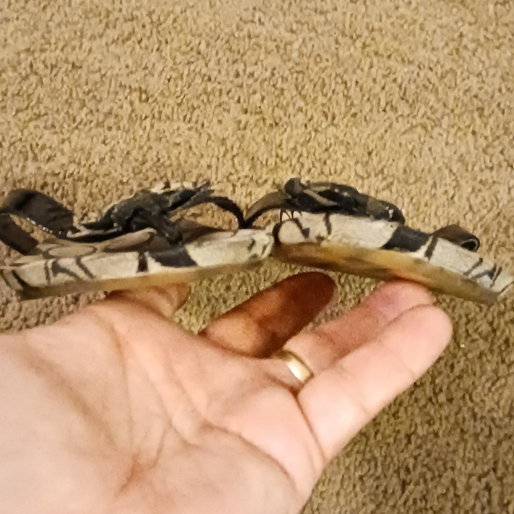 Coach Sandals - Picture 5 of 14